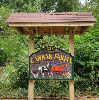 Welcome to Canaan Farms